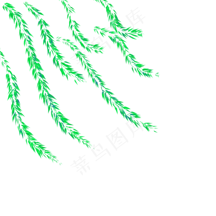 杨柳树春天发芽春天的脚步