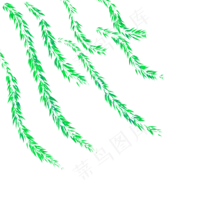 杨柳树春天发芽春天的脚步