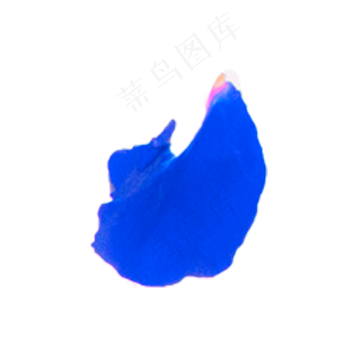 一片蓝色妖姬花瓣实物拍摄免抠(2000X2000(DPI:72))psd模版下载