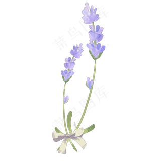 薰衣草蝴蝶结png免抠