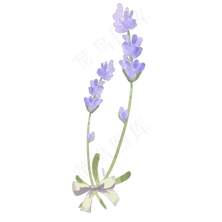 薰衣草蝴蝶结png免抠