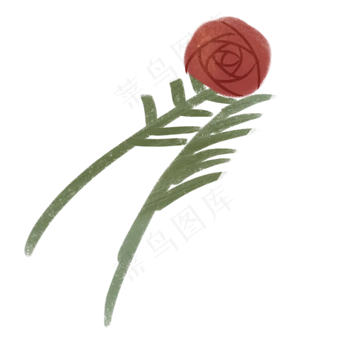 一个粉色的玫瑰花免抠图(2000X2000(DPI:300))psd模版下载