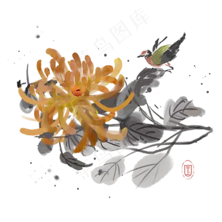 水墨花鸟菊花素材,免抠元素