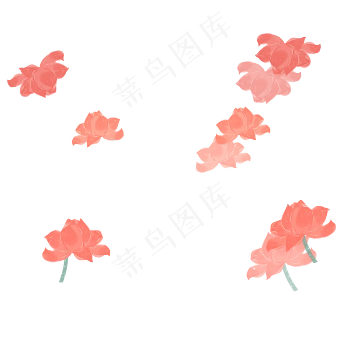 美丽的荷花(1500X1500(DPI:300))psd模版下载
