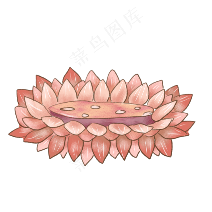 荷花宝座莲花座