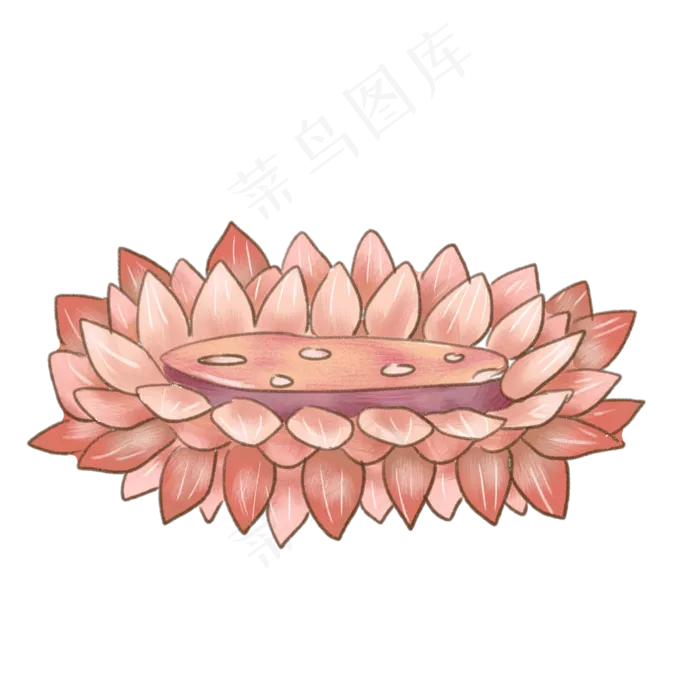 荷花宝座莲花座