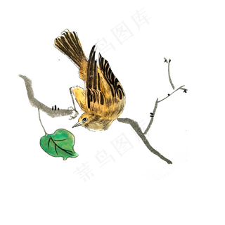 国画花鸟黄色雀鸟PNG花枝水墨工笔,免抠元素