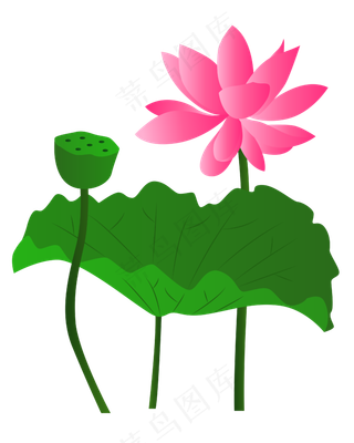 荷花鲤鱼水墨画装饰图水中荷花莲