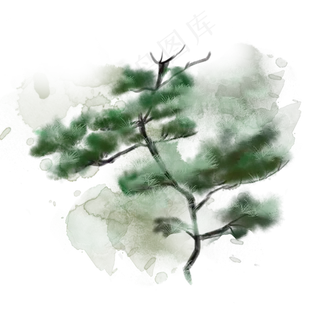 冬季植物松柏水墨素材