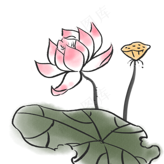 水墨粉色荷花