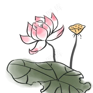 水墨粉色荷花