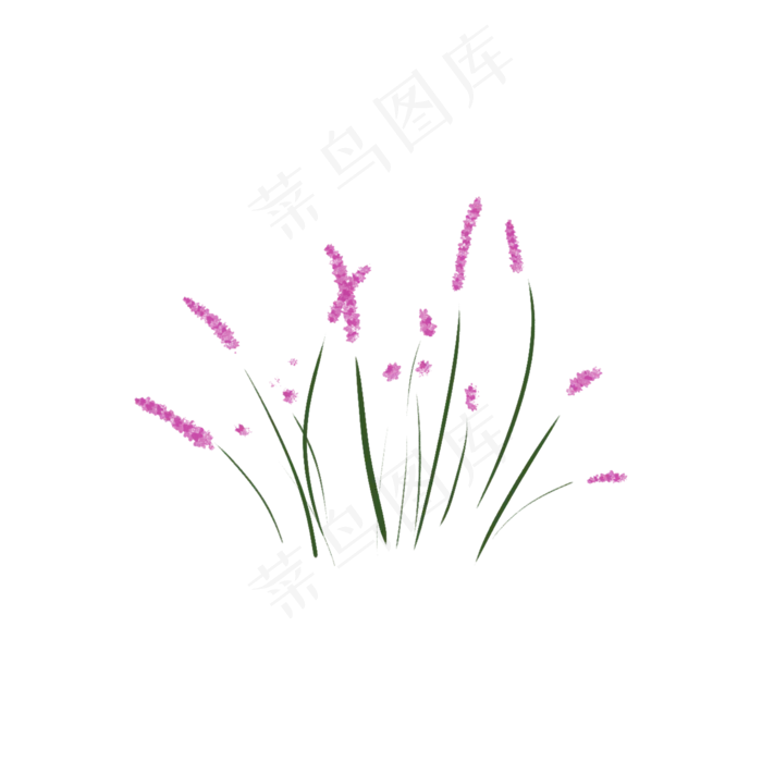 植物小花简笔画免扣装饰(2000X2000(DPI:300))psd模版下载