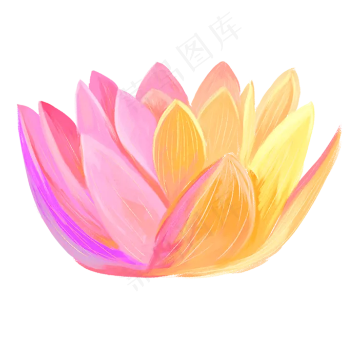 盛开的荷花(2000X2000(DPI:300))psd模版下载