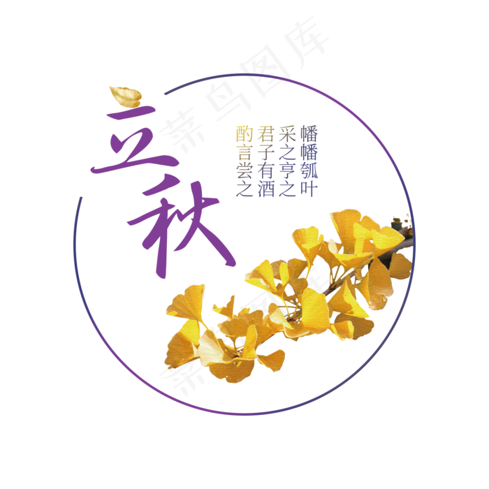 唯美秋天 金黄色创意立秋 秋分字体设计 二十四节气(2000X2000(DPI:300))psd模版下载