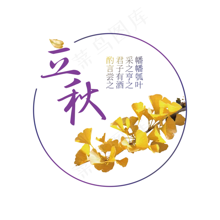 唯美秋天 金黄色创意立秋 秋分字体设计 二十四节气