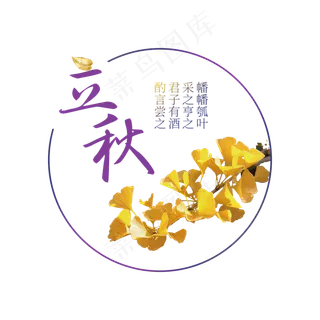 唯美秋天 金黄色创意立秋 秋分字体设计 二十四节气