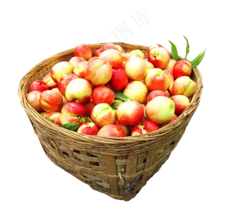 竹篮框桃子免扣