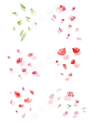 植物叶子花瓣漂浮气氛免抠图案套