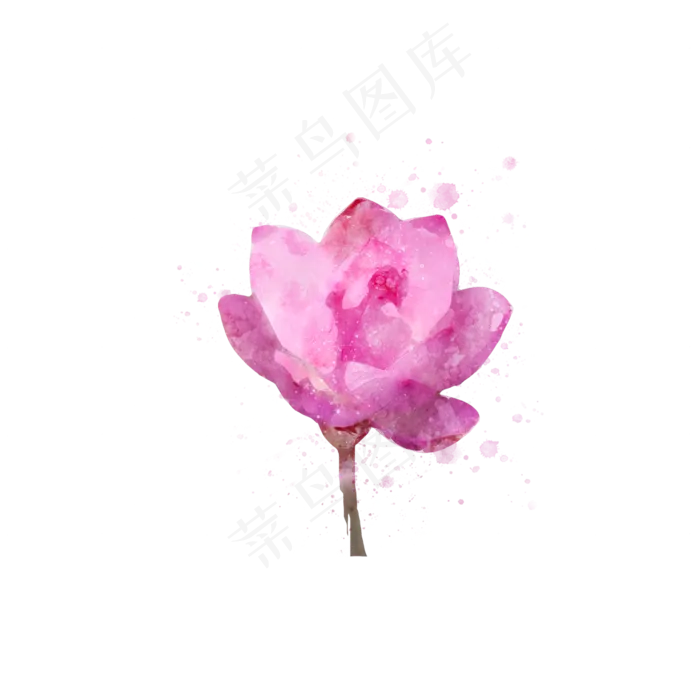 手绘粉色荷花水彩植物花卉元素(2000X2000(DPI:300))psd模版下载