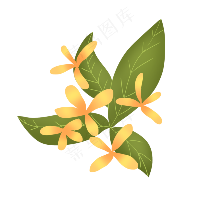 浅橘色绚烂小清新花朵