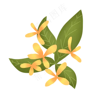 浅橘色绚烂小清新花朵