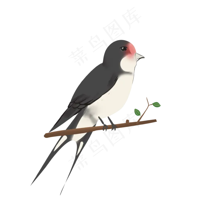 春季仿真类燕子站树枝(3543X3543(DPI:300))psd模版下载