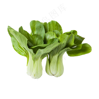 小青菜（png免抠）