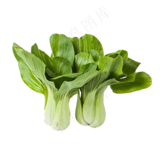 小青菜（png免抠）