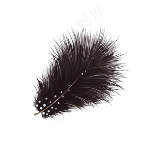 中国分手绘漂亮羽毛,免抠元素