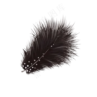 中国分手绘漂亮羽毛,免抠元素