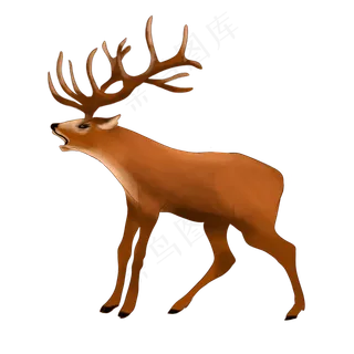 冬天动物驯鹿,免抠元素