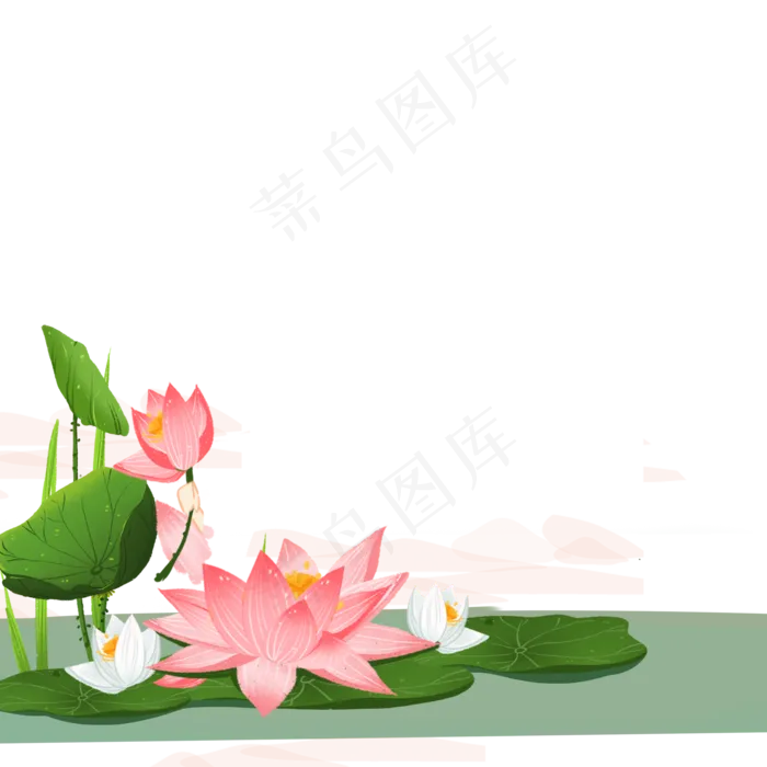 荷花荷叶(2000X2000(DPI:300))psd模版下载