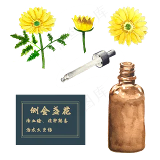 花类中草药金盏花春夏菊