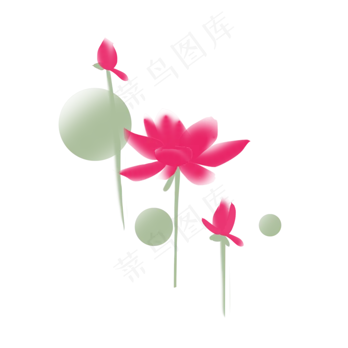 清新夏季荷花元素(2000X2000(DPI:300))psd模版下载
