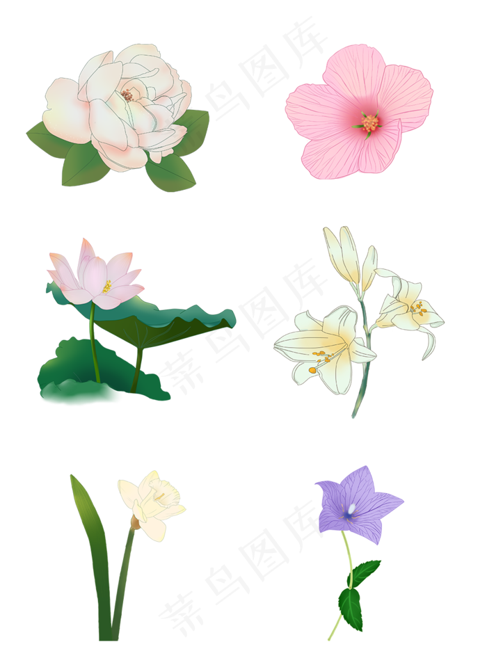 手绘花套图牡丹木槿荷花百合水仙(1024X1369(DPI:150))psd模版下载