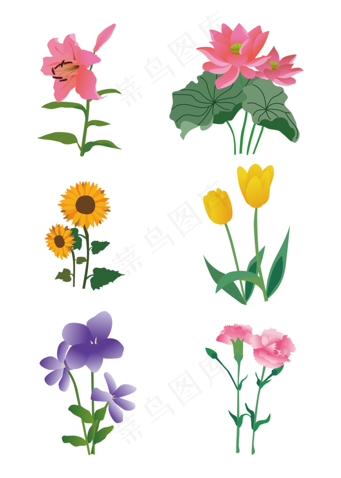 鲜花花束矢量花卉套图