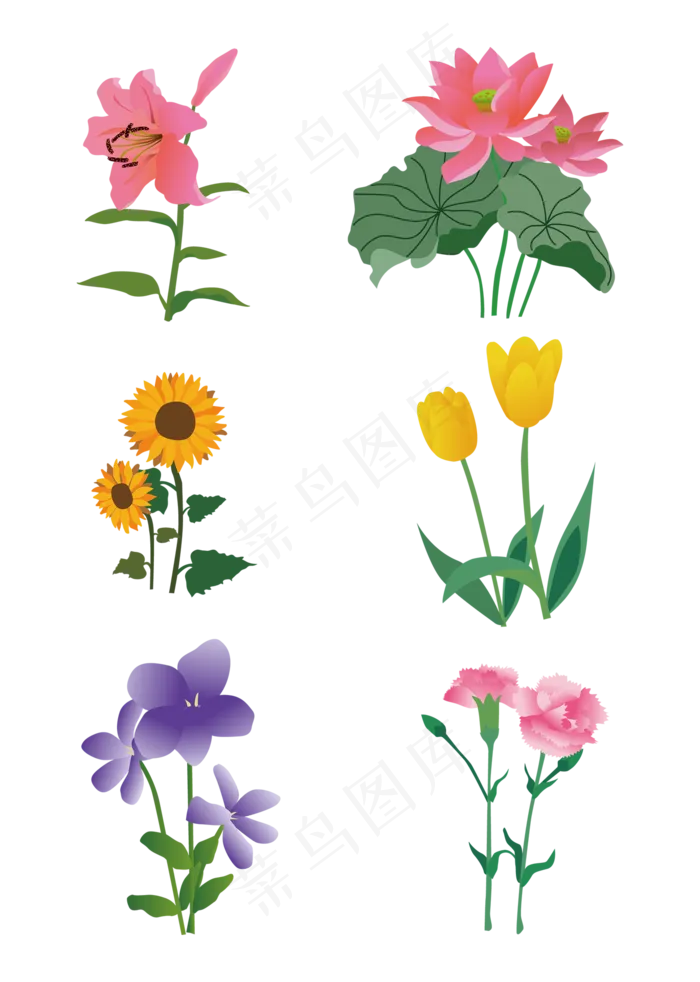 鲜花花束矢量花卉套图(2000X2000(DPI:300))ai矢量模版下载