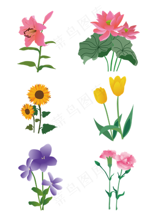 鲜花花束矢量花卉套图