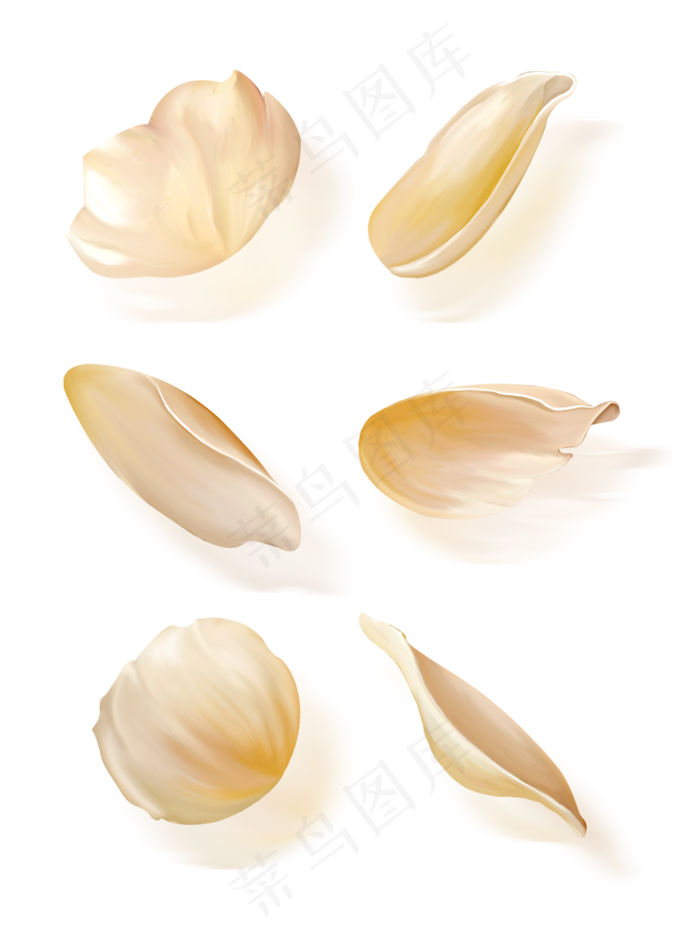 手绘花花瓣免抠套图元素