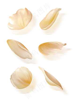 手绘花花瓣免抠套图元素