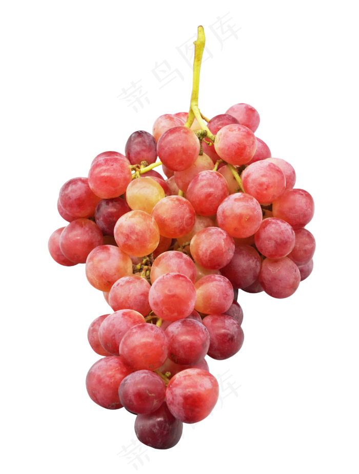 水果美食葡萄,免抠元素