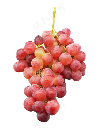 水果美食葡萄,免抠元素