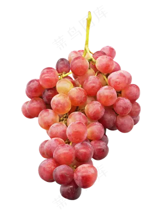 水果美食葡萄,免抠元素