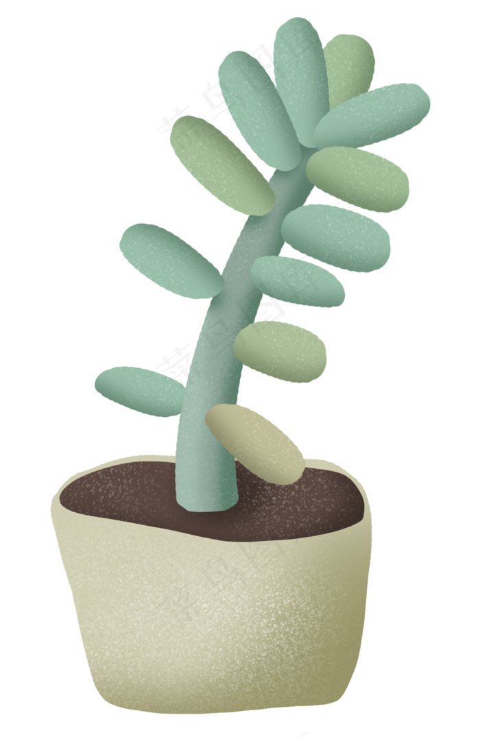 春天多肉植物绿色室内植被,免抠元素(2362X3629(DPI:300))psd模版下载