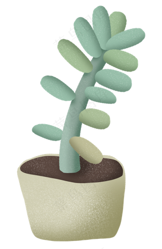 春天多肉植物绿色室内植被,免抠元素