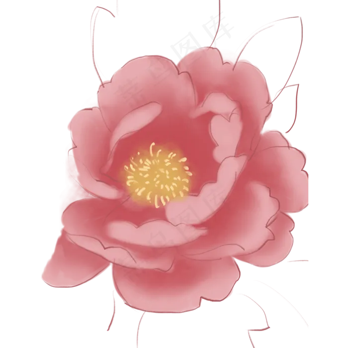 新鲜的花朵免抠图(2000X2000(DPI:300))psd模版下载