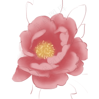 新鲜的花朵免抠图