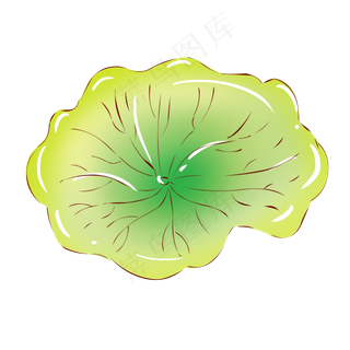 手绘花荷花小清新植物绿色荷叶