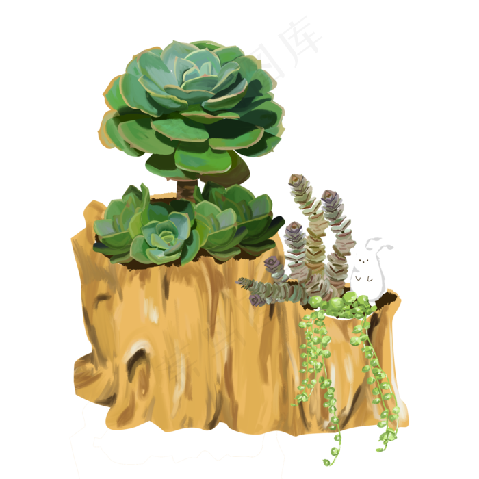 手绘清新多肉植物插画设计商用,免抠元素
