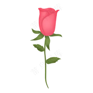 粉红色唯美芳香郁金香